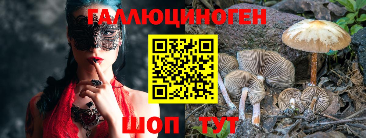 Галлюциногенные грибы ЛСД  Галлюциногенные грибы прущие грибы  Йошкар-Ола  Вход с VPN 