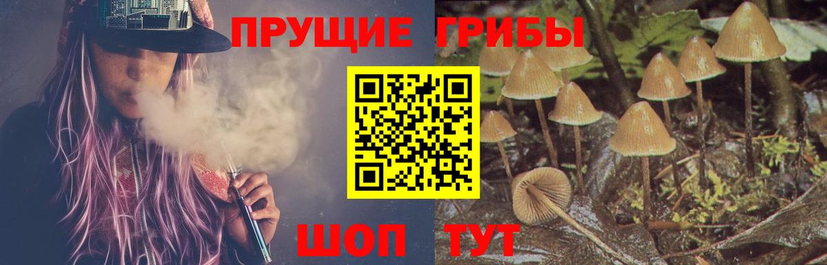 Псилоцибиновые грибы мухоморы Йошкар-Ола